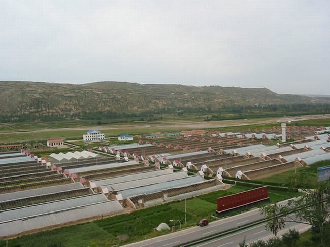 2002年建成的甘肃省泾川县高新农业示范园