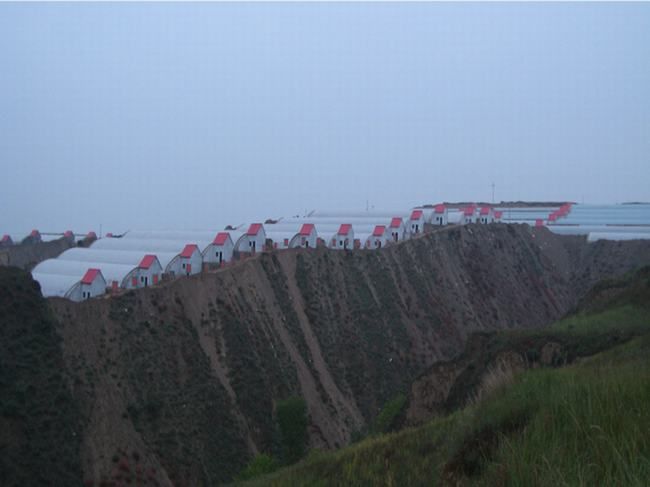 2006年建成的西北农林科技大学闫良甜瓜基地