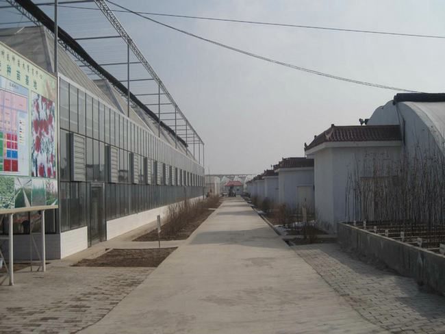 2009年建成的陕西省果树苗木繁育中心杨凌种苗基地