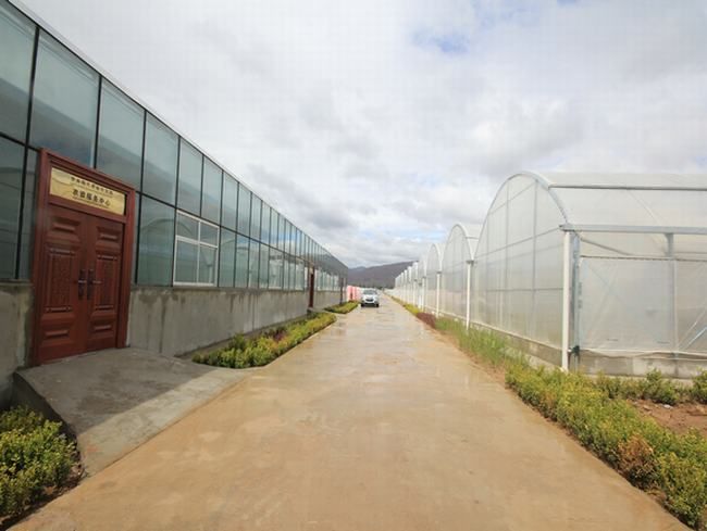 2013年建成的甘肃省甘谷县现代农业示范园